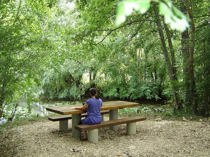 De petits coins aménagés pour le pique-nique à Charny