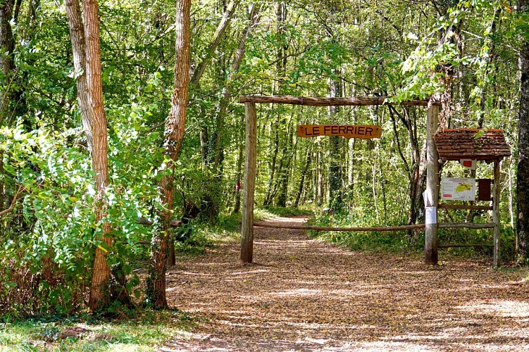 le Ferrier antique de Tannerre-en-Puisaye