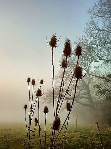 412351081_2031993543828210_4625595736920799833_n