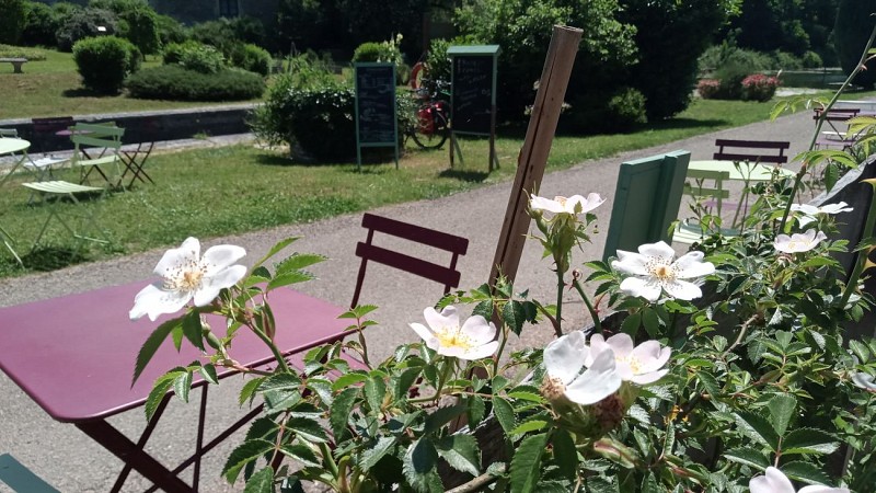 Vue du p'tit jardin - Bistrot du Canal Chassignelles