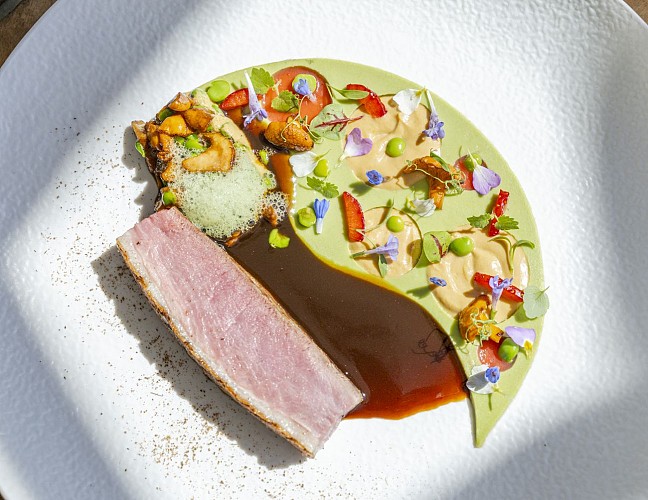 La Côte Saint-Jacques - Joigny