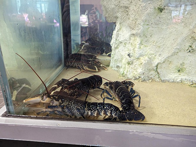 Restaurant l'Ambiance des Halles