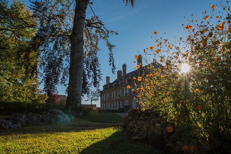 Plein-Soleil a La Cimentelle Hote Bourgogne