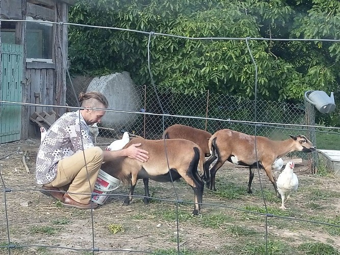 Le-petit-refuge-bourguignon-gite-puisaye-forterre-ouanne (6)