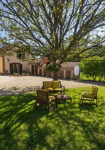 salon jardin jaune sous l'arbre et gite portrait WEB