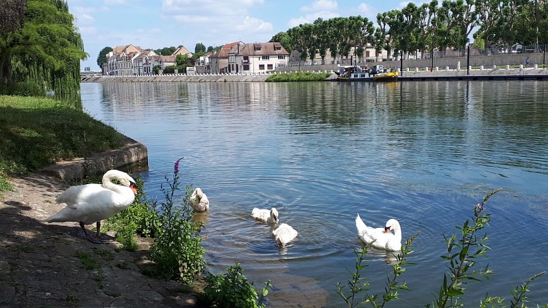 Vue depuis la chambre d'hôtes La Marinière