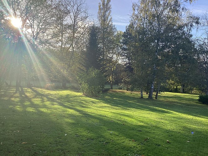 Petites-barres-saint-sauveur-en-puisaye (7)