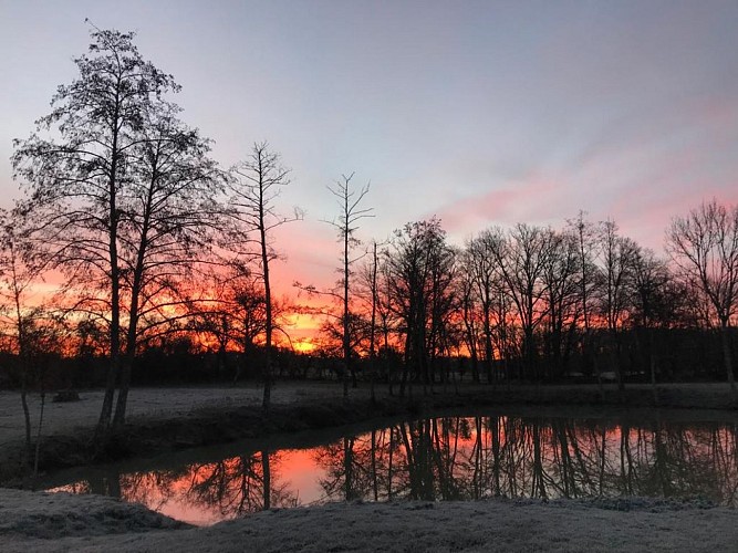 gite-ferme-de-montreal-puisaye 