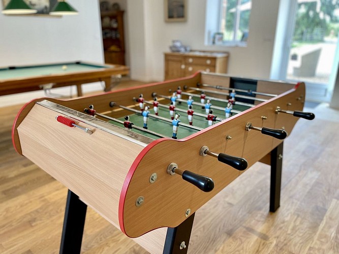 chambres-dhotes-les-colas-saint-fargeau (8)