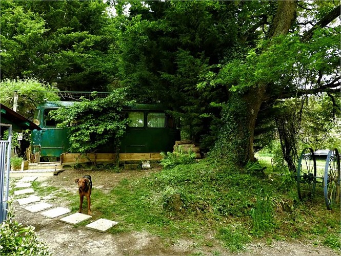 hebergement-insolite-motu-maeva-saint-prive-puisaye (15)