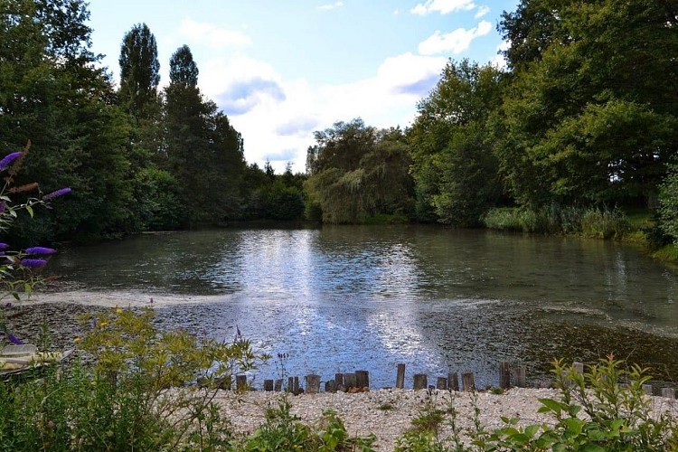 hebergement-insolite-motu-maeva-saint-prive-puisaye (2)