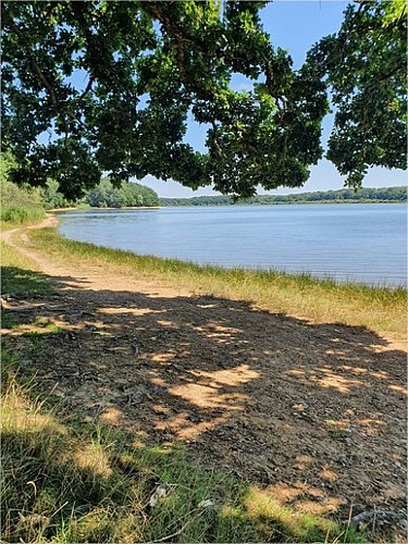 les-jardins-du-bourdon-saint-fargeau (5)