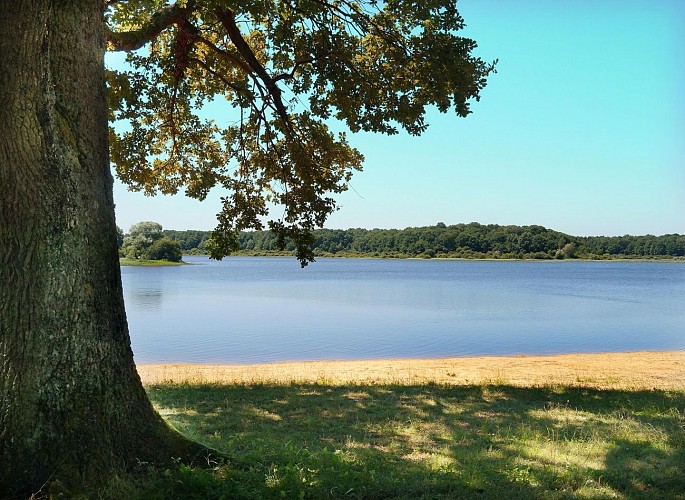 Lac-du-Bourdon-saint-fargeau (3)
