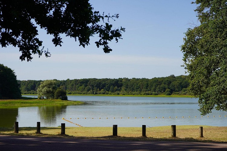 Lac-du-Bourdon-saint-fargeau (1)