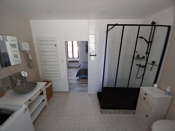 Vue d'ensemble de la salle de douche