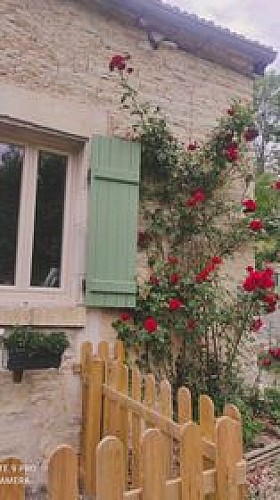 rosier sur la façade