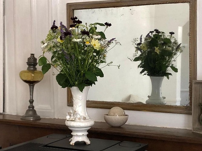 chambre-hote-ailes-du-papillon-saint-sauveur-en-puisaye (4)