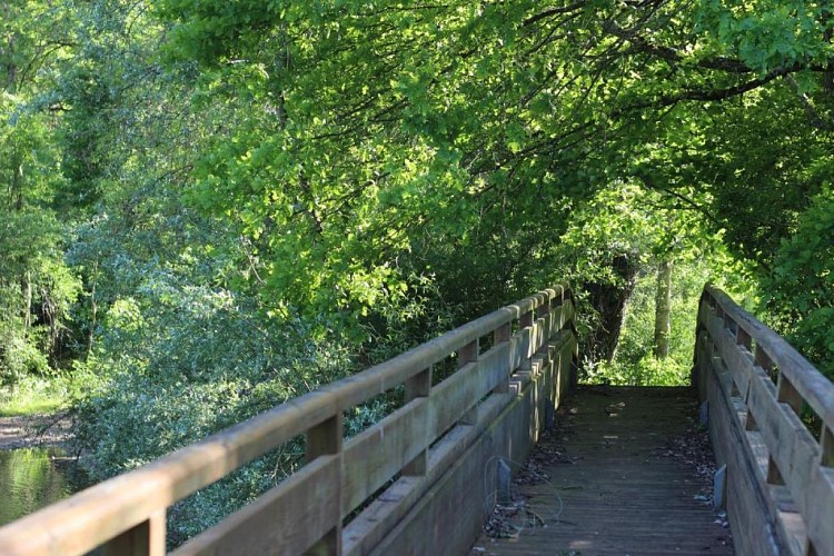 Ferme de Plènoise chambres d'hôtes à Charny Orée de Puisaye (14)
