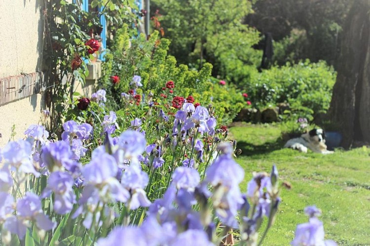 Ferme de Plènoise chambres d'hôtes à Charny Orée de Puisaye (10)