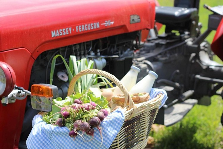 Ferme de Plènoise chambres d'hôtes à Charny Orée de Puisaye (8)