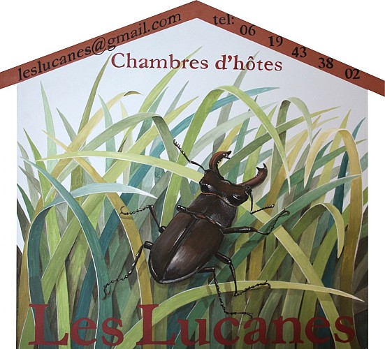 Enseigne les Lucanes