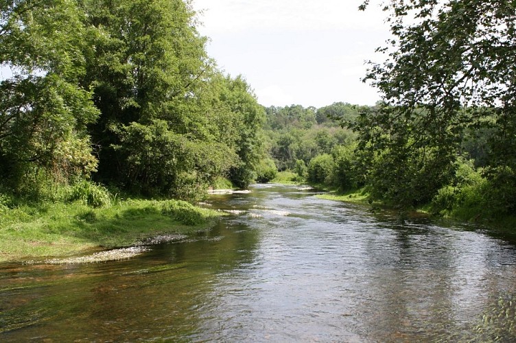 La rivière le Serein