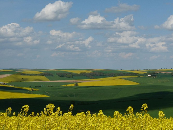 Paysage de printemps