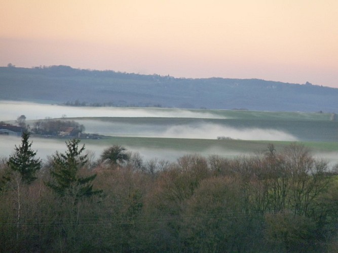 Brumes dans les vallées
