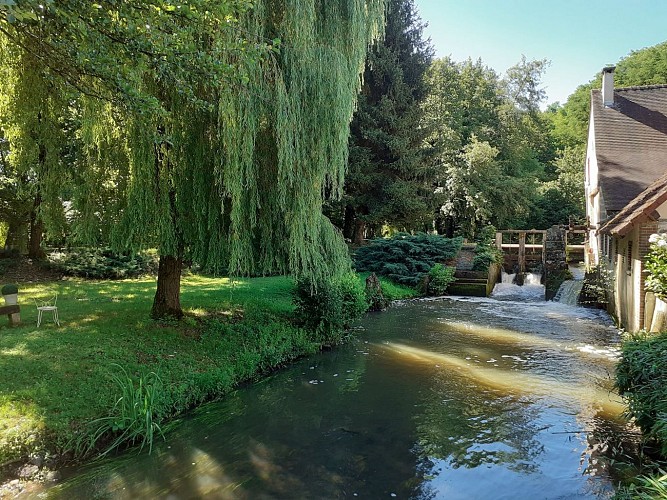 gite-moulin-rousseau-bleneau-puisaye (13)