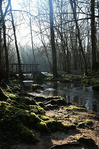 Magie de la vallée du Cousin