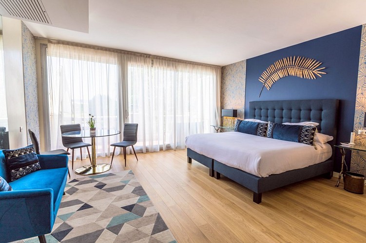 Junior Suite - la Côte Saint Jacques- Joigny