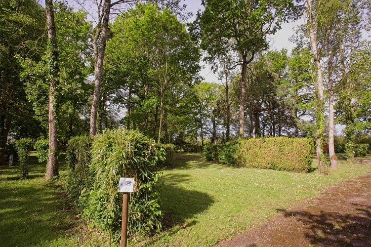Camping de Bléneau - emplacement