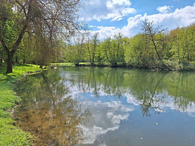 Le serein à 200m du camping - Camping L'Isle sur Serein