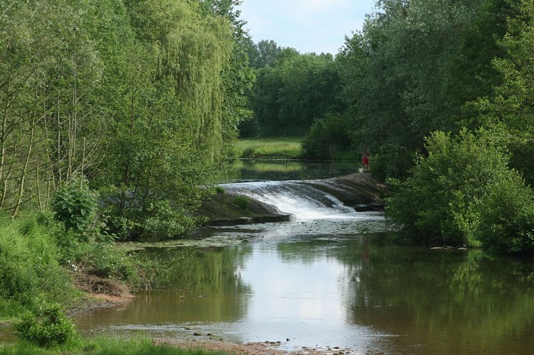 idéal pour pêcher - Camping L'Isle sur Serein