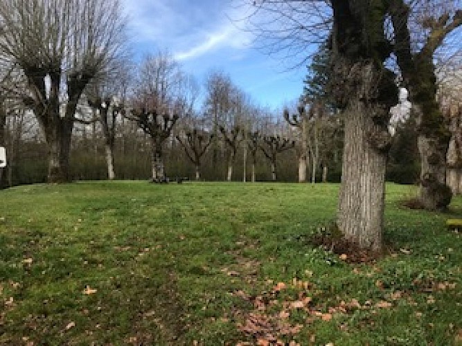 Aire de Camping Noyers sur Serein