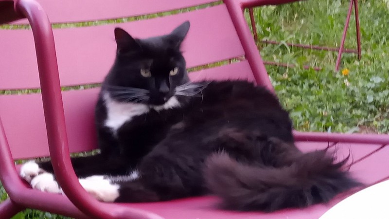 Farniente pour tous ! Au Bistrot du Canal - Camping - Chassignelles