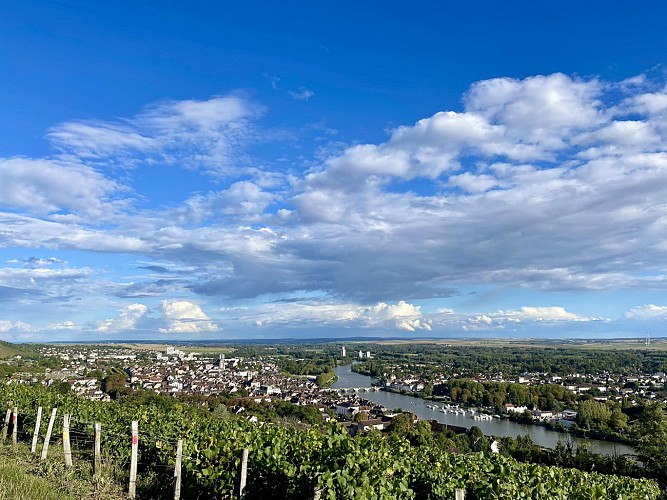 Joigny vue du Belvédère