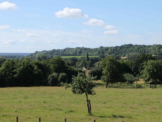 Gîte Le Chêne de La Vigne