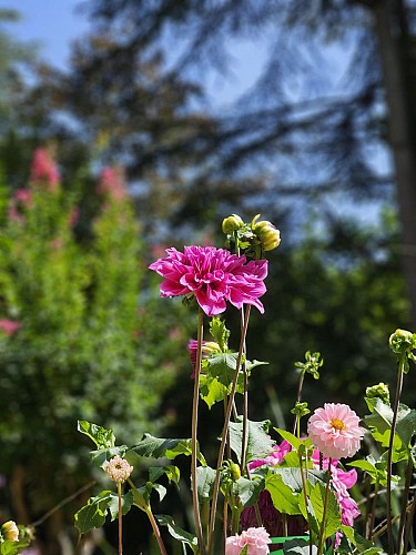 Le Jardin des Fontaines Pétrifiantes