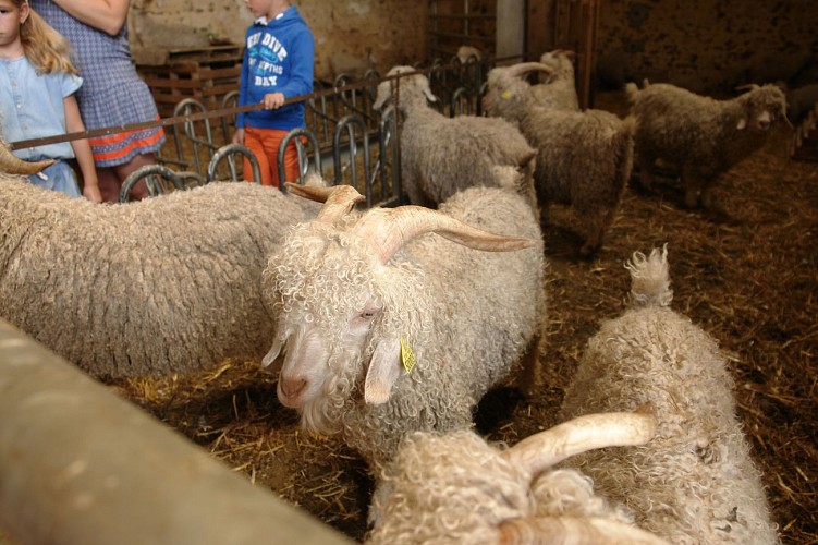 Visite de la ferme _La Bouquetière_ (1)