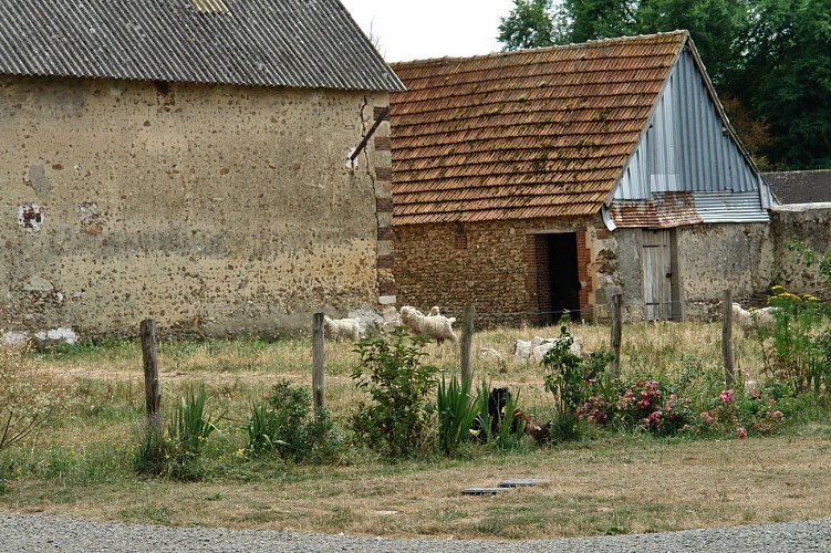 Visite de la ferme _La Bouquetière_