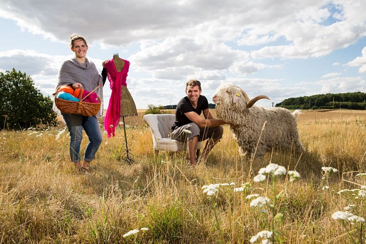 Entreprise_Artisan_Laine_Chevre_Angora-014