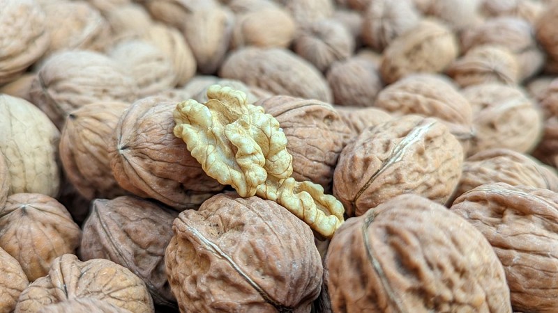 Noix de la Ferme des Signaux