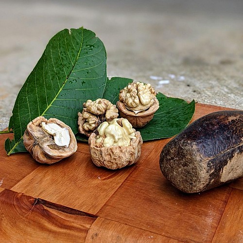 Noix de la Ferme des Signaux