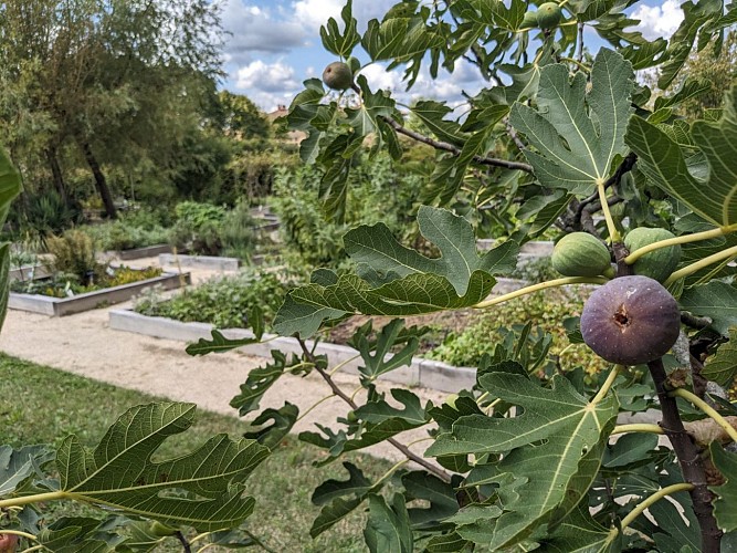 Les jardins du Couvent des Carmes