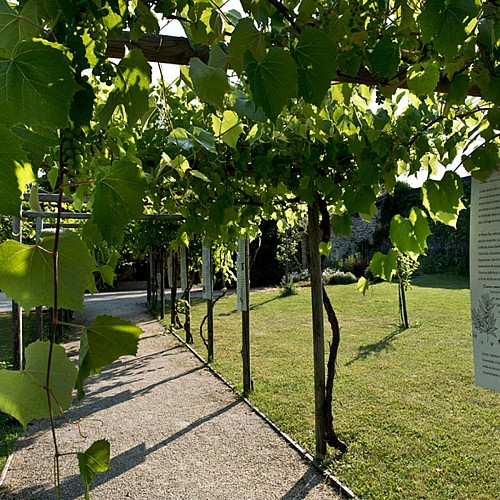 Les jardins du Couvent des Carmes