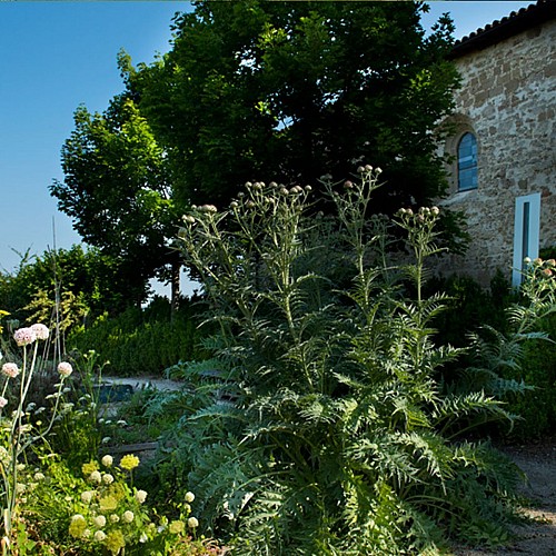 Les jardins du Couvent des Carmes