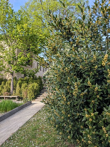 Les jardins du Couvent des Carmes
