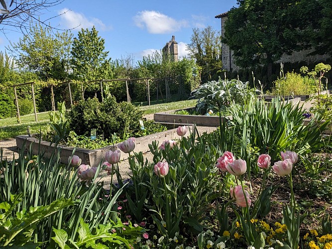 Les jardins du Couvent des Carmes