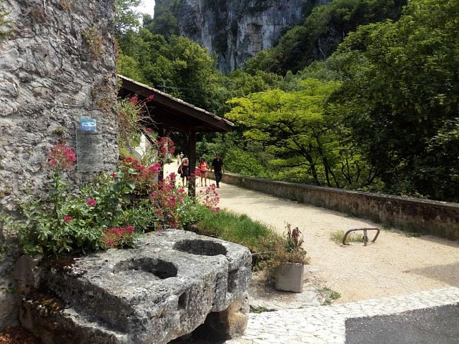 Camping La Chatonnière